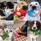 Crisps Plush Squeaky Chew Toy