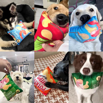 Crisps Plush Squeaky Chew Toy