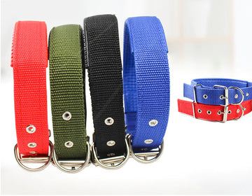 Dog Collar